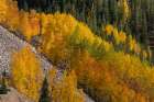 USA, Colorado, San Juan Mountains. Mountain forests in autumn. Art Print